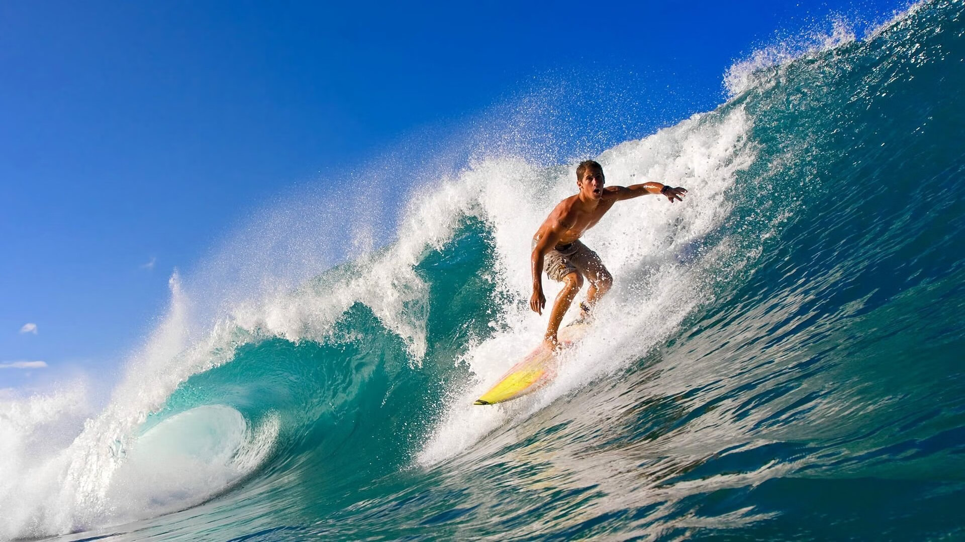 UFC综合技法训练全方位提升——开启你的格斗新境界